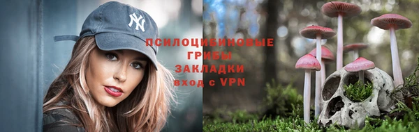 jwh Алзамай