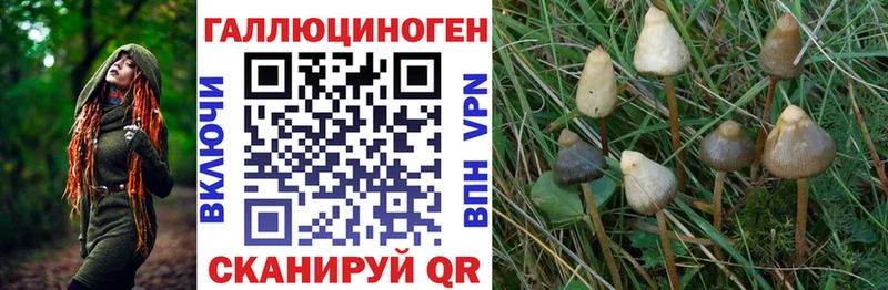 наркота  Саки  Псилоцибиновые грибы MAGIC MUSHROOMS 